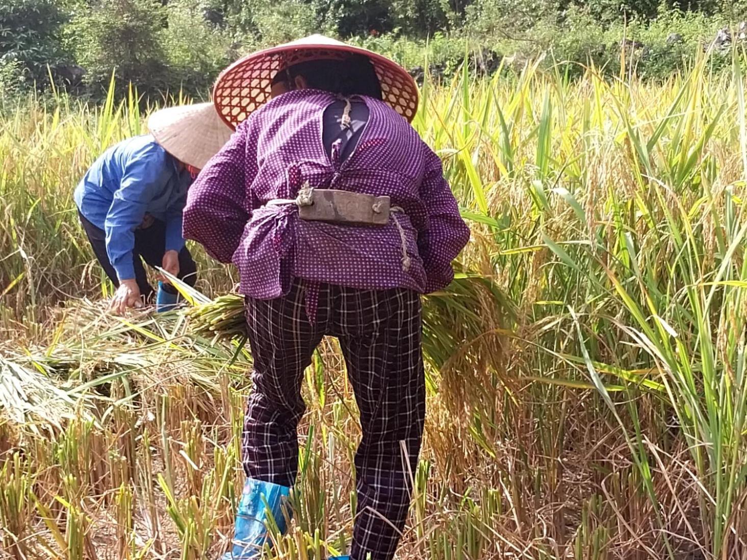 Trieu Hoan Homestay Cao Bang Esterno foto